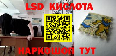 a pvp Камышлов