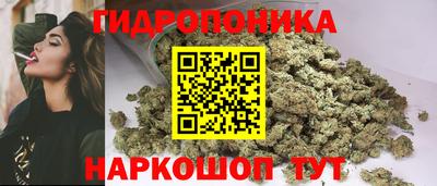 a pvp Камышлов