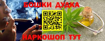 a pvp Камышлов