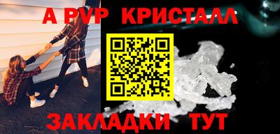 a pvp Камышлов