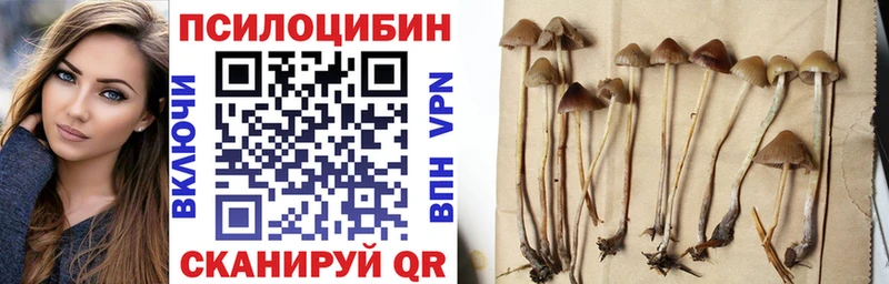 Галлюциногенные грибы прущие грибы Курчалой