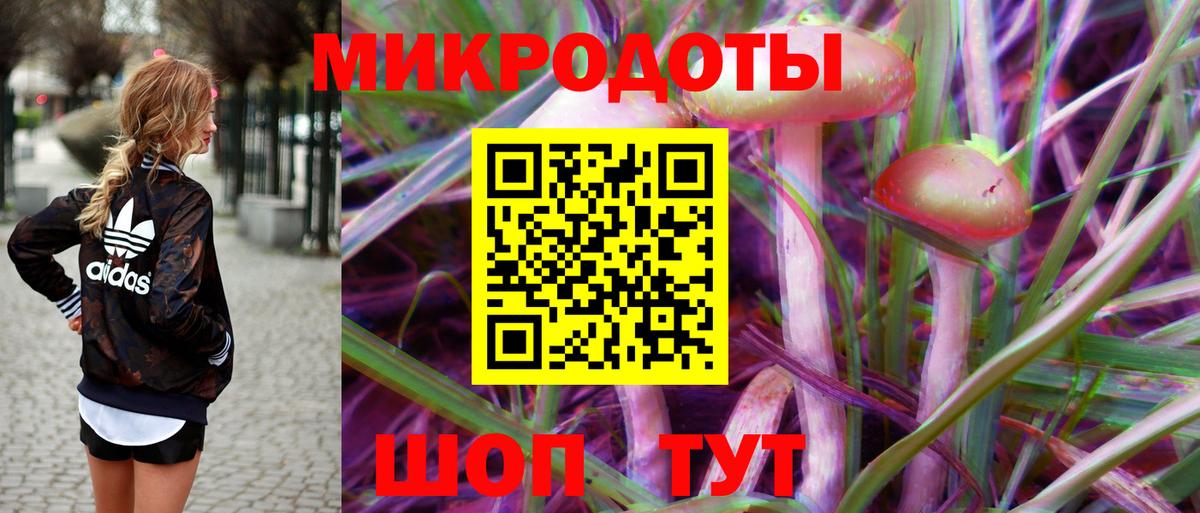 Курчалой  наркошоп  Вход с VPN  Галлюциногенные грибы мухоморы 