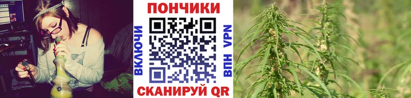 купить  цена  Курчалой  Бошки Шишки марихуана 